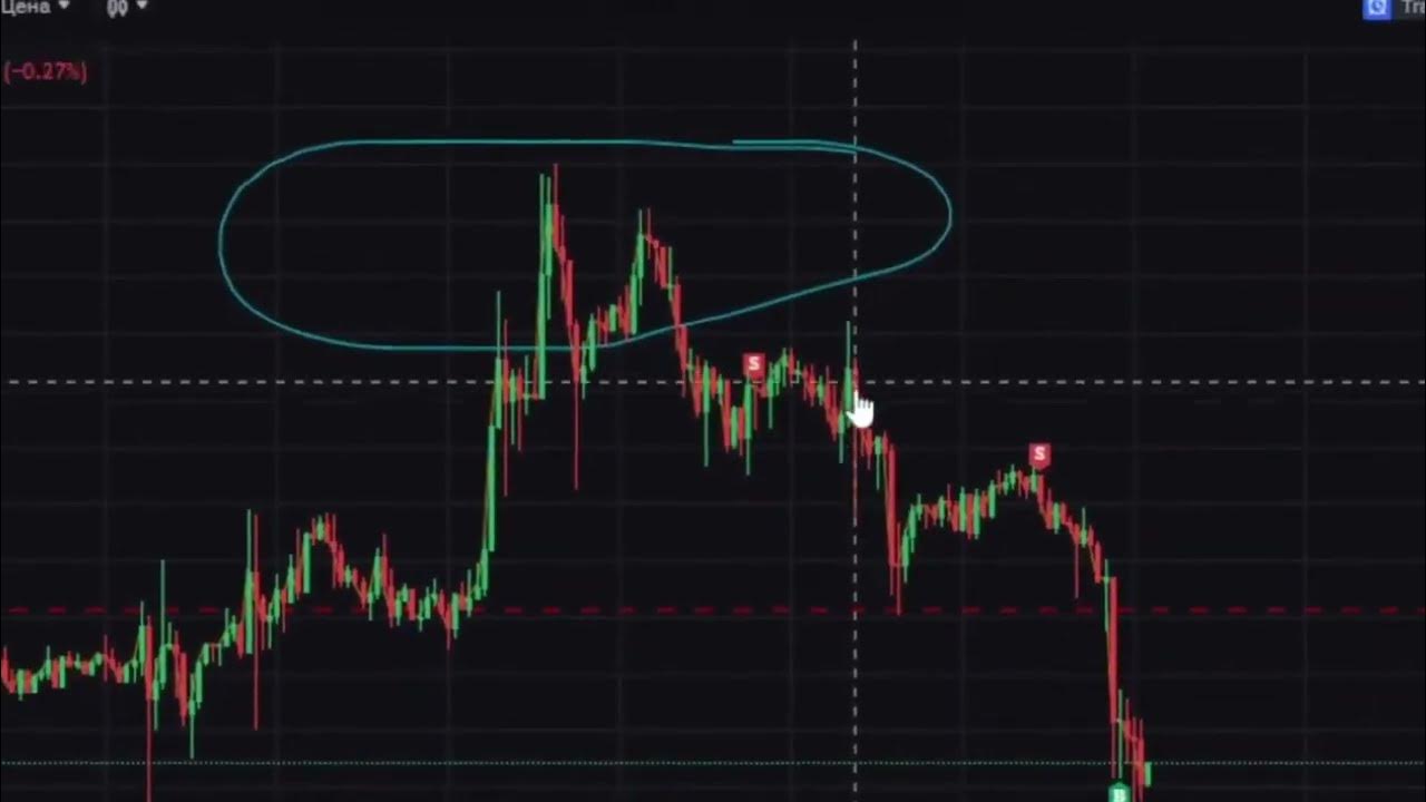 Форекс трейдер. Пирамида трейдинга. Основы трейдинга для начинающих. Биржа и точка. Трейдинг успех.