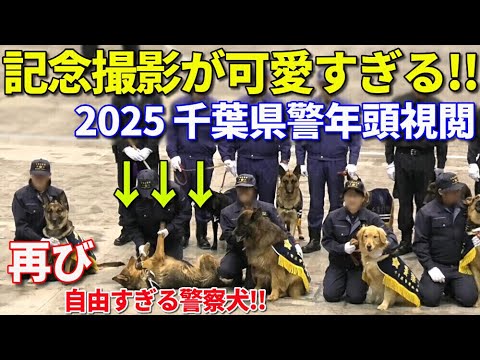 桜の御門　　P.D. 警察犬 プレート EC5KSYEORRNR3OM4M5T4GLUCHQ.jpg