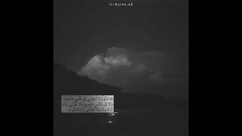 ﷲ لا اله الا هو الحي القيوم 🍂🌿حالات واتس اب اسلامية🍂🌿اسلام صبحي🍂🌿قران كريم🍂🌿مقاطع دينية🍂🌿