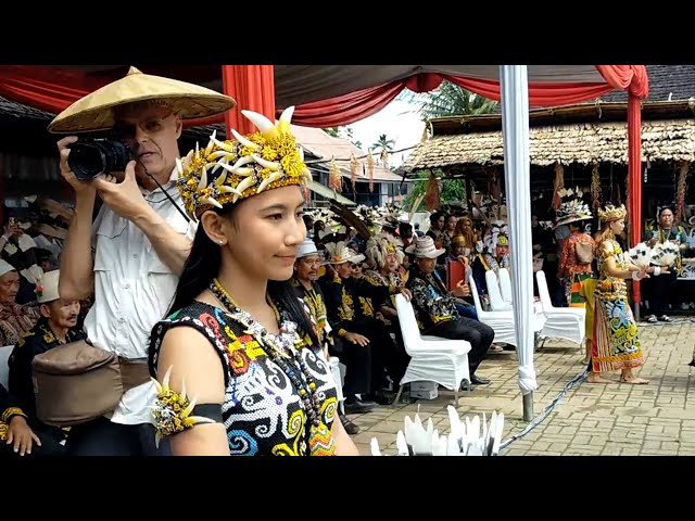 Festival Budaya Dayak Kenyah di Desa Wisata Pampang, 2023 ( Part 3 ) class=