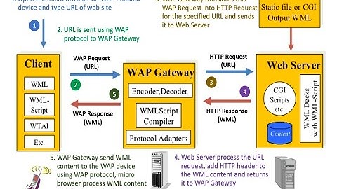 WAP Model Architecture & Working | WML Scripts, WTAI, CGI Scripts, Decks | Mobile Computing [D]