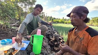 Download lagu MENIKMATI JAJANAN PASAR DI LAHAN PAK SUDIWANI, SUASANA SORE DI PERMUKIMAN TANAH RANTAU TRANSMIGRASI
