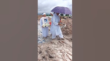 con đưa tiễn cha về cực lạc