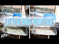 Rabbit Litter Box Setup and Cleaning Routine