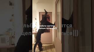 Перцепция 3 скоро будет на ЛитРес