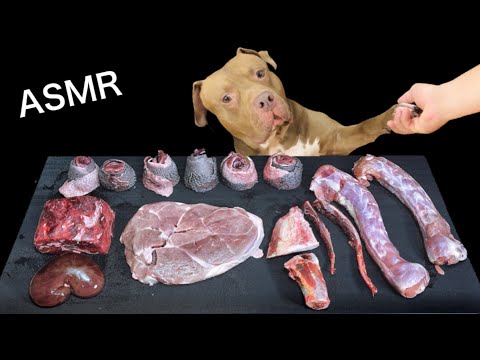 【耳が喜ぶASMR】最強な犬に馬とアヒルの骨をあげたら咀嚼音がヤバすぎた