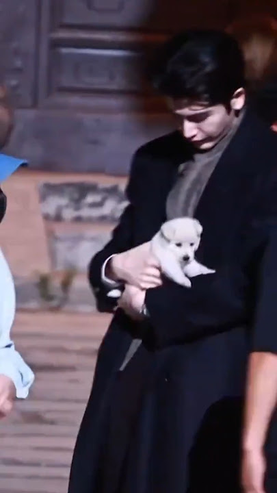 Zhang Linghe so gentle, the puppy so cute😍❤️ | CDrama #video #cute #puppy