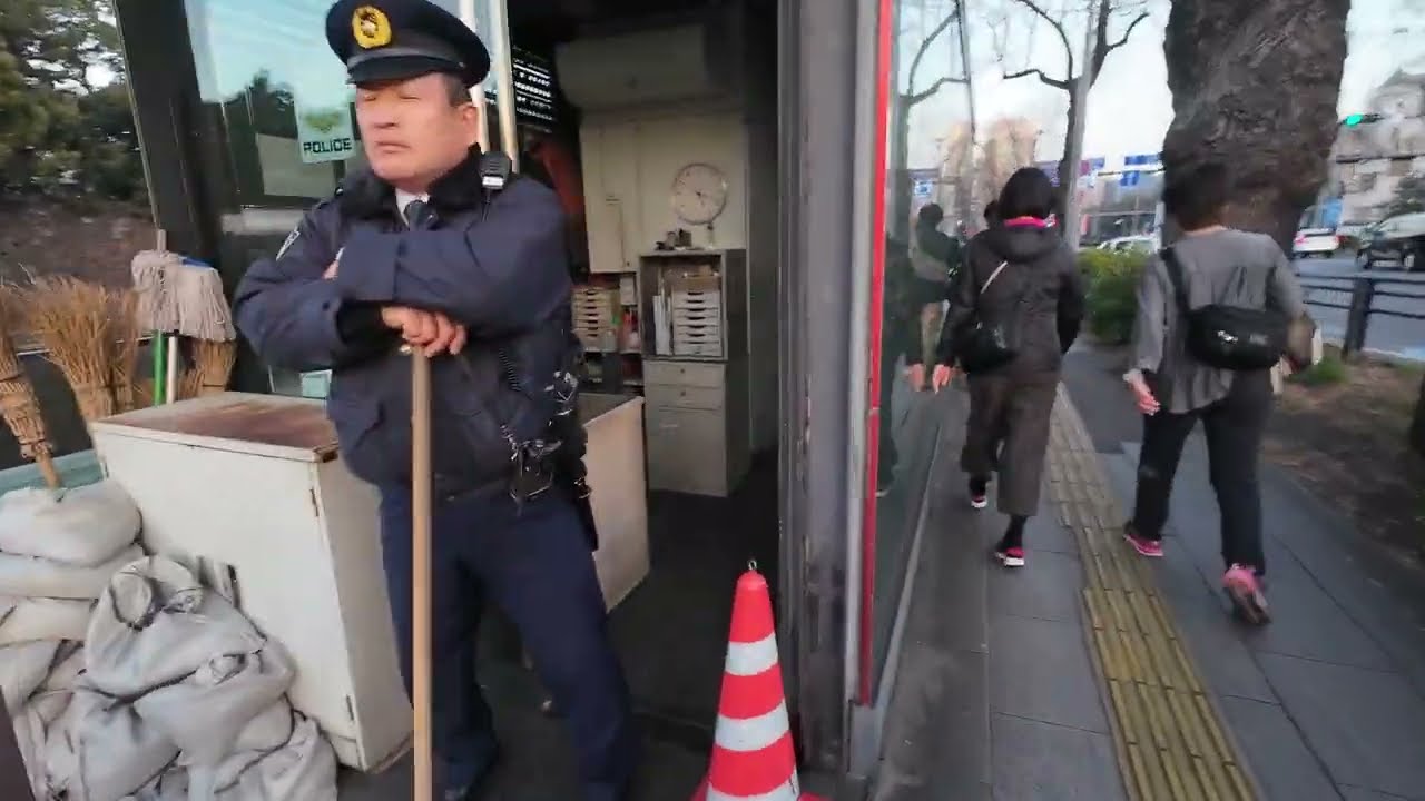 【散歩/東京都千代田区】皇居 Imperial Palace（2026年2月） part3