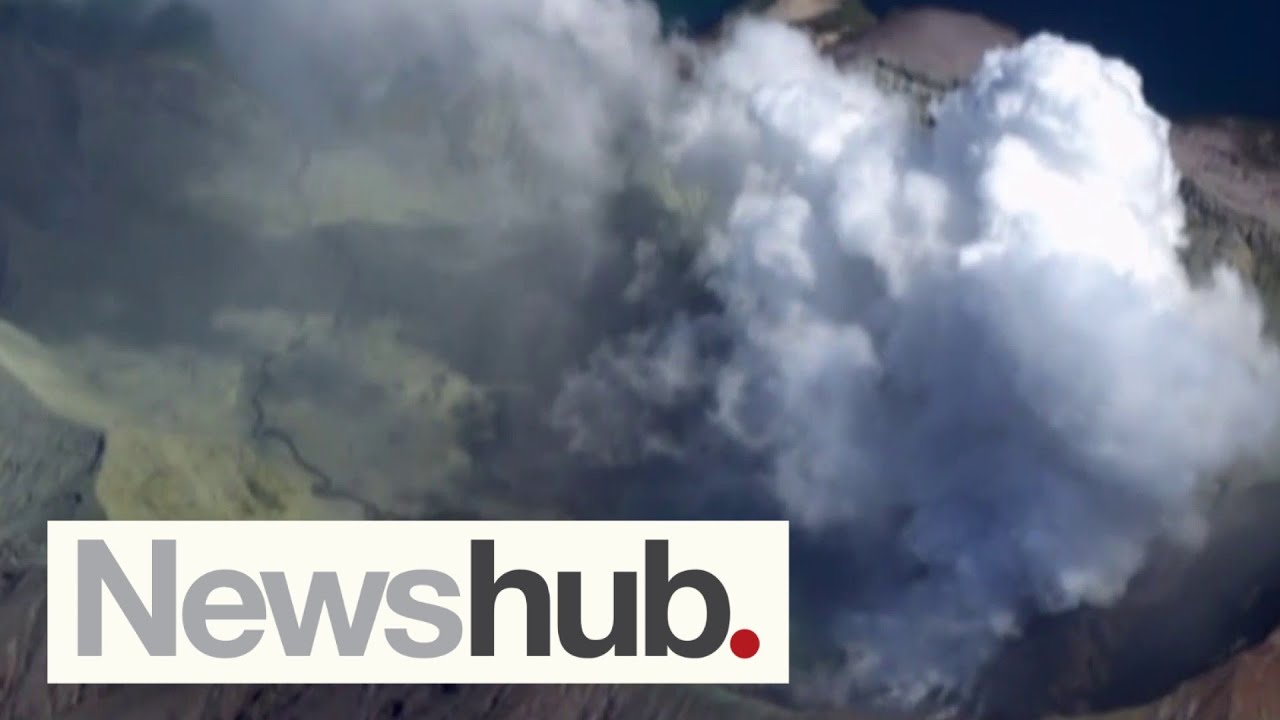 Whakaari/White Island eruption Owners 'never bothered to understand risks' WorkSafe Newshub