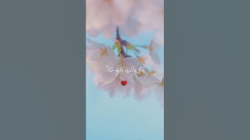 القران الكريم راحة نفسية #القرآن_الكريم #حالات_واتس_اب #duet #دويتو #اكسبلور #راحة_نفسية