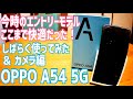 OPPO A54 5G スナドラ480 5Gは快適！今どきのエントリーモデルしばらく使ってみた編【カメラ検証】