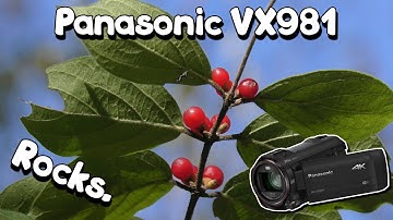 The Panasonic VX981 - My YouTube Camera | (LOTS of sample footage!) | Best Beginner Camcorder