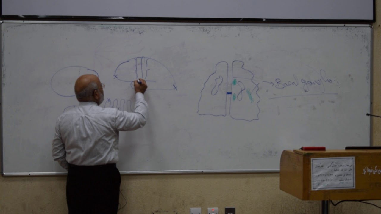 Anatomy - Descending motor pathways I & II - Dr.Gamal camera iphone 8 plus apk