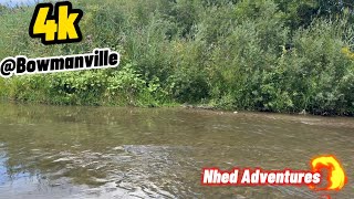 Nature's Harmony: Streamside Serenity with Chirping Birds