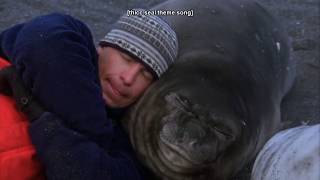 man plays with some thicc seal pups [Part 1.1]