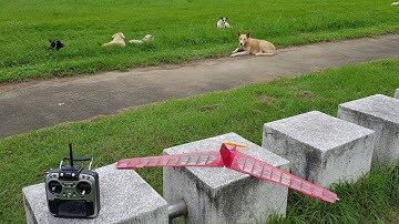 67% 1951 unknown Flying Wing 120 grams Windy Day test flight