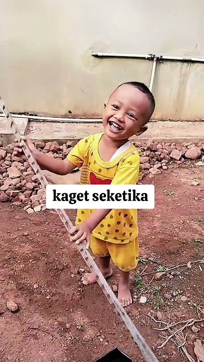 kukira ul4r, ternyata kayu #fypシ゚viral #lucu #memengakakkocak #ngakak #funny