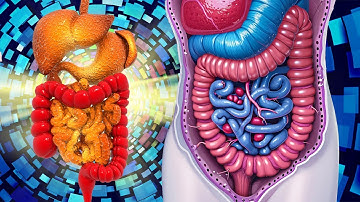 Intestinal Healing with Alpha Waves: (WARNING:VERY POWERFUL!) The Body Is Repair After 14 Min..