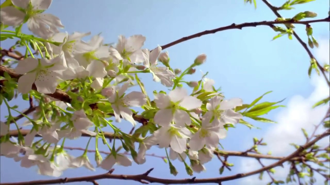 YETUVELLIPOTHUNDHO NA NAAVA-KARUNAPRAVAHAM-2