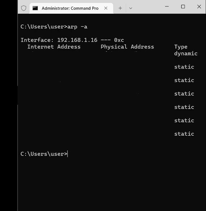 How To See All The IP Addresses On The Local Network (I have blurred my IPs)