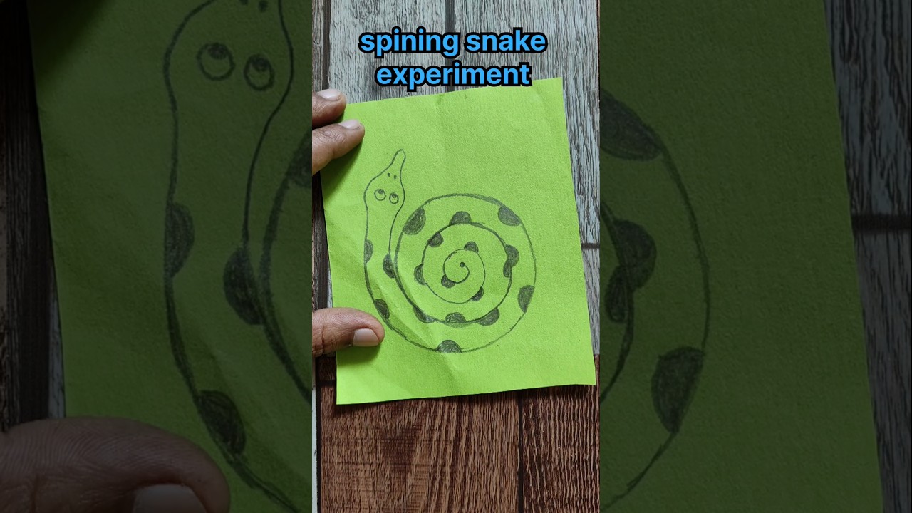 Spinning snake experiment 