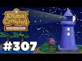 The night of everything  animal crossing city folk lets play ep 307