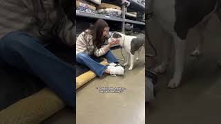 I think my daughter has a future with rescue dogs..