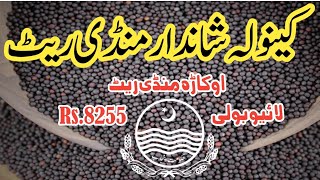 Canola Rate Today Rs. 8255 Canola Rate In Punjab Canola Farming Stan