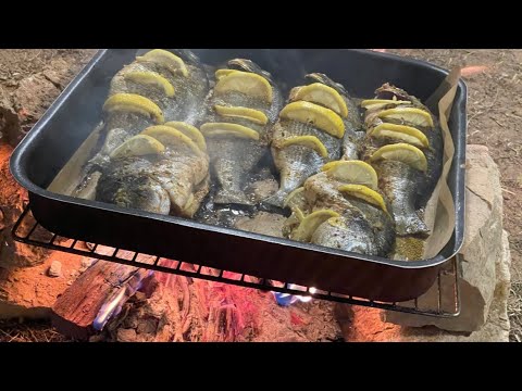 يـوم في المزرعة🌳🌴وشواء السمك🎏🔥#مطبخ#للذوَّاقة