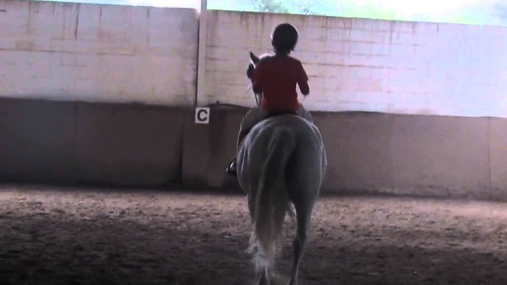 Dani's first time riding a horse - YouTube