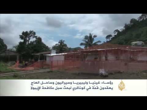 قمة في كوناكري لبحث سبل مكافحة الإيبولا