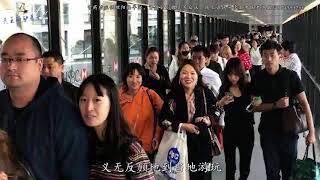 塞班岛游客被困，1600名中国游客先乘机回国，引起韩国游客抱怨