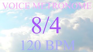 Voice Metronome  -  8 Count  -  120 bpm