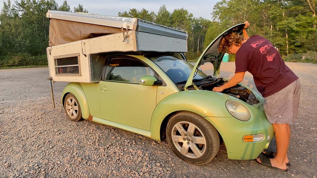 Introduce 190+ images volkswagen camper beetle - In.thptnganamst.edu.vn