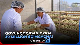 Qovunqoqidan oyiga 20 million so‘mgacha daromad | Fakt 24 (29.09.2026)