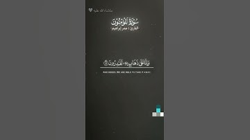 سوره المؤمنون / القارى : عمر ابراهيم/