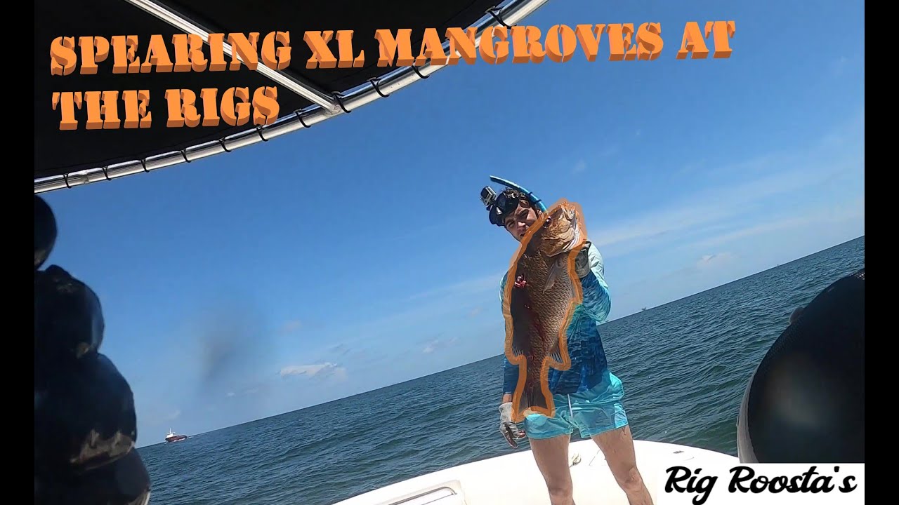 Freediving Oil Rigs for BIG SNAPPER in Venice, LA 8/13/22 YouTube