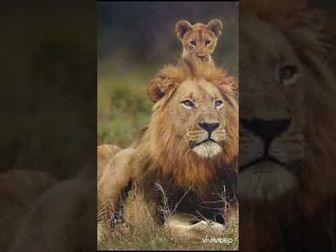 انا جيت ويامرحب بيا