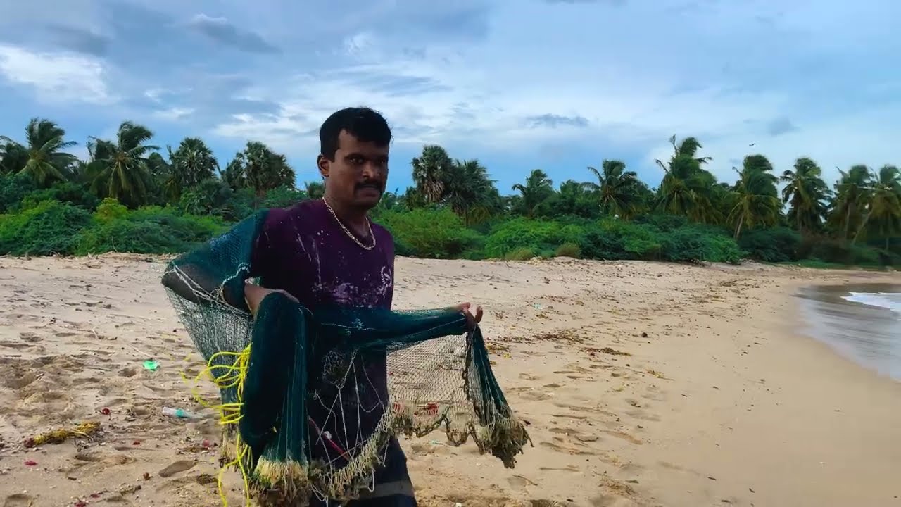 Fishing Video | Beach Net Fishing Free Stock Video