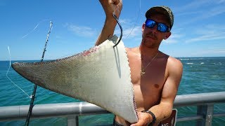 Dropping MASSIVE Baits for JETTY GIANTS