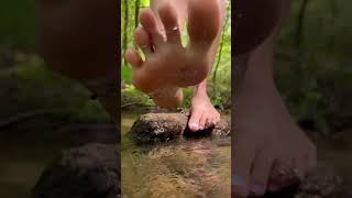 Baby Blue And Pink Boomer At The Rivera