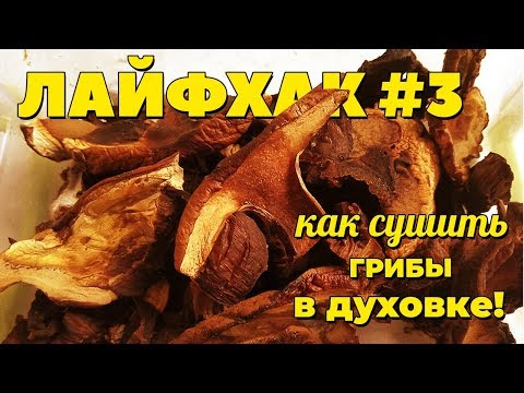 Как сушить грибы в духовке | Домоед