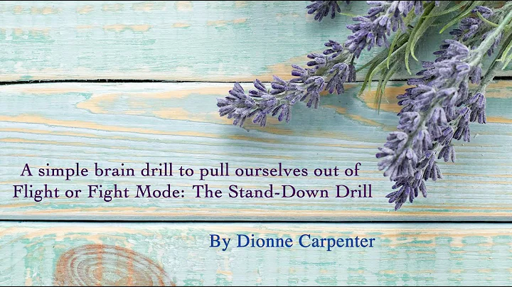 Stand Down Drill by Didi Carpenter