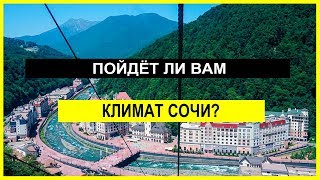 Подойдёт ли вам климат в Сочи?