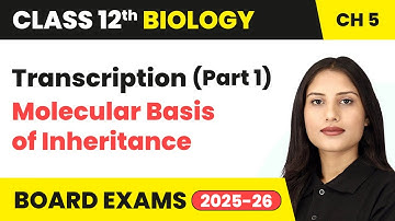 Transcription (Part 1) - Molecular Basis of Inheritance | Class 12 Biology Chapter 5 | CBSE 2025-26