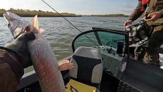 Рыбалка на реке Обь