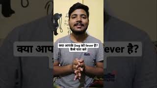 क्या आपके Dog को fever है?? कैसे पता करे? 🐕 screenshot 1