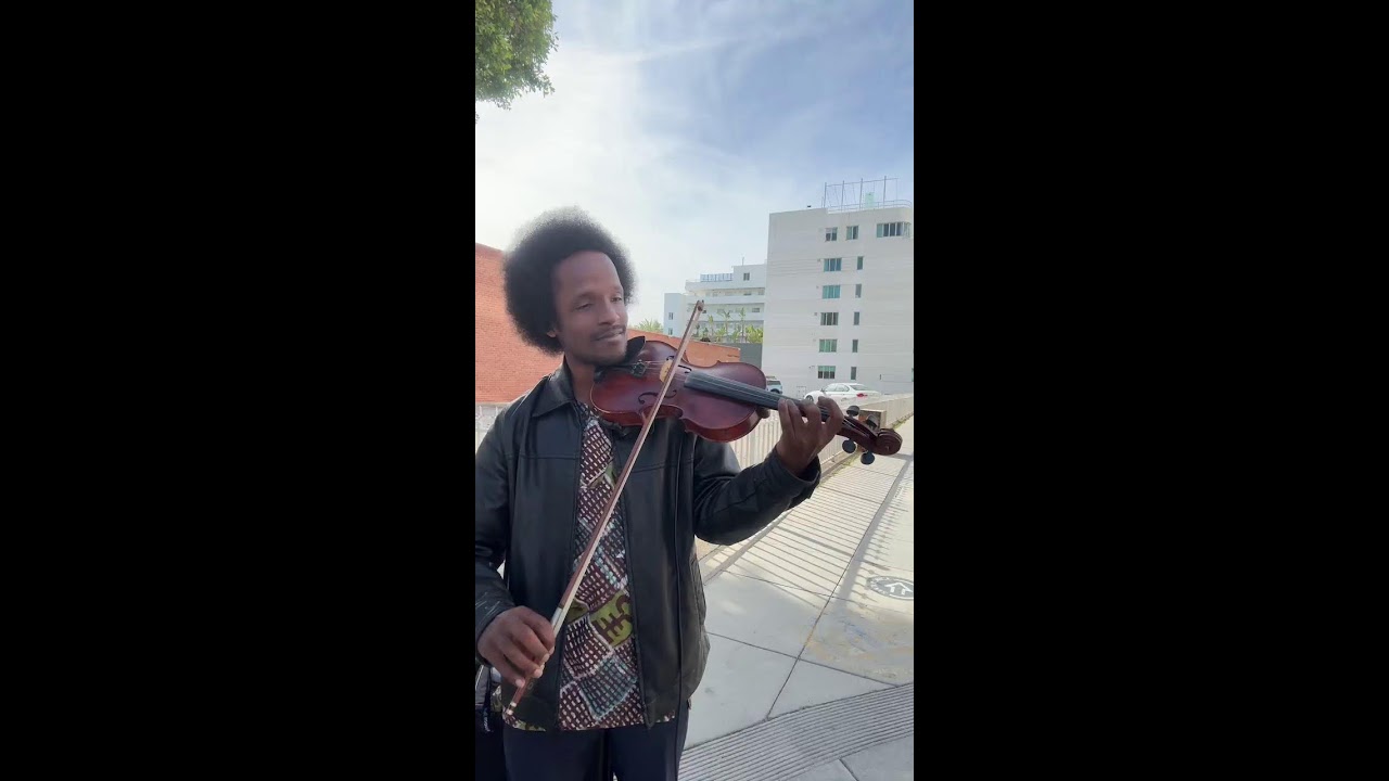 Live Violin Music | Chill & Relaxing