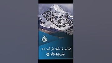 تلاوة طيبة من سورة النحل بصوت القارئ  هيثم الدخين {  فإذا قرأت القرآن فاستعذ بالله من الشيطان }
