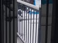 Nueva York vestida de blanco